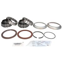 SET REPARATIE BUTUC